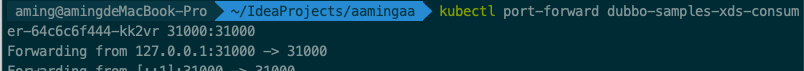 port-forward.png